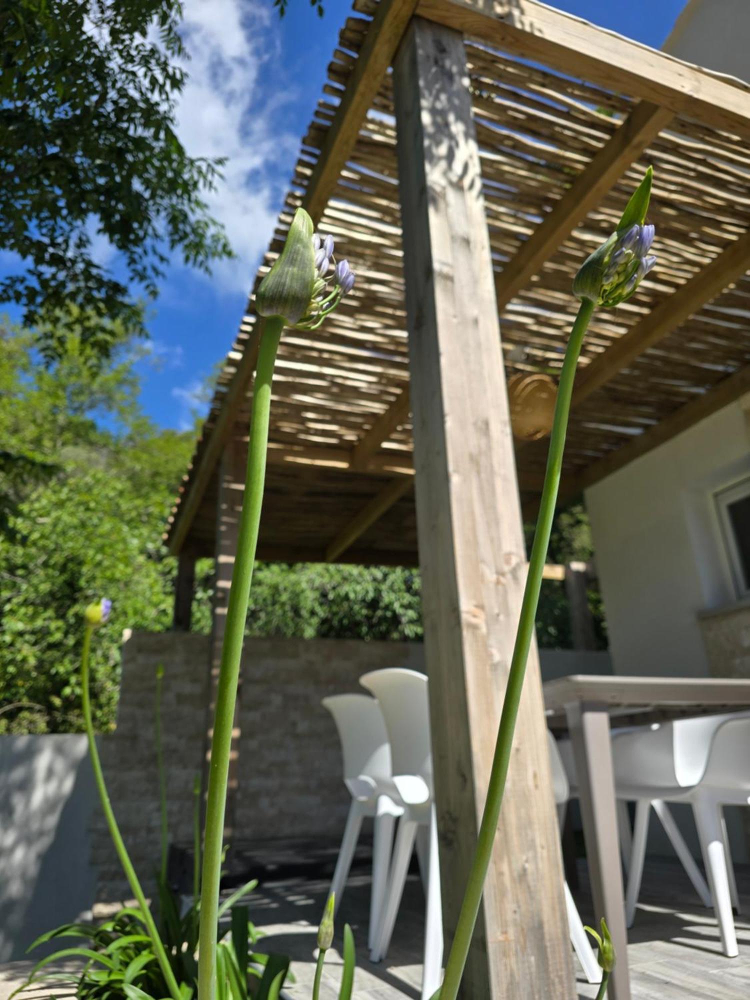 Petite Maison - Porto-Vecchio מראה חיצוני תמונה